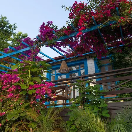 Sabrinas Haus - Adult Only +14 מרמריס